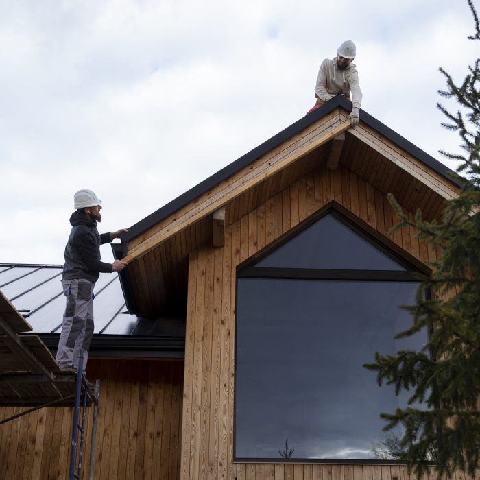 Nowoczesne domy szkieletowe